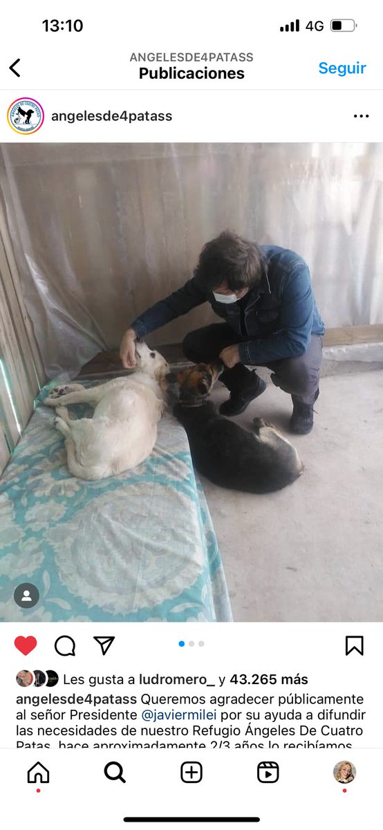 EugeniaRolon_'s tweet photo. Este es tu presidente? Porque el mío sí ❤️🥺🐶 https://t.co/CckfsYlsJs