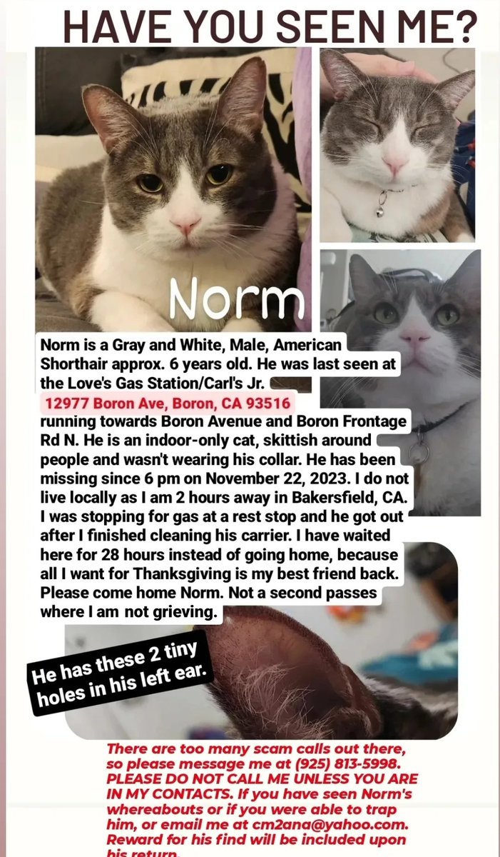 TheGhostUR2Me tweet media