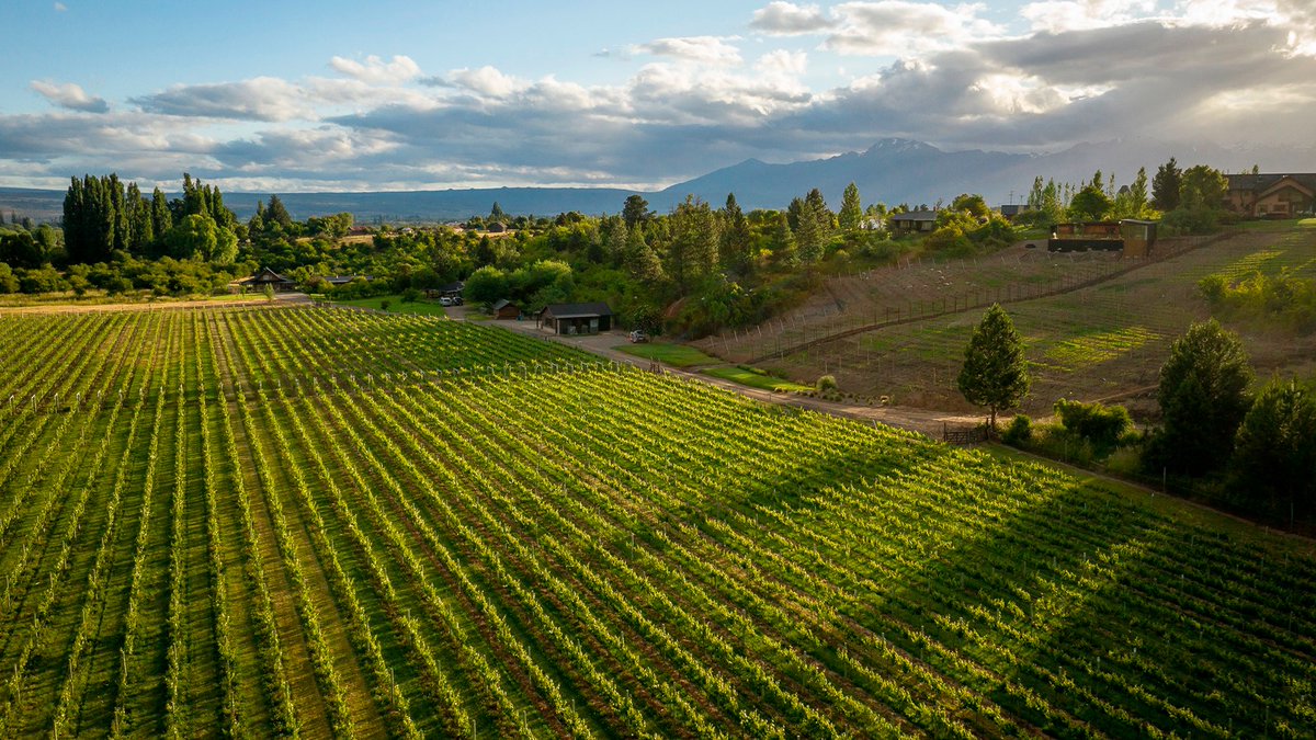 MinTuryAP's tweet photo. Turismo: El Gobierno de la Provincia presenta el programa “Vinos y Sabores de Chubut” 🍷

Más info. en https://t.co/k05xyiU6QD https://t.co/e9y9y6cmMJ