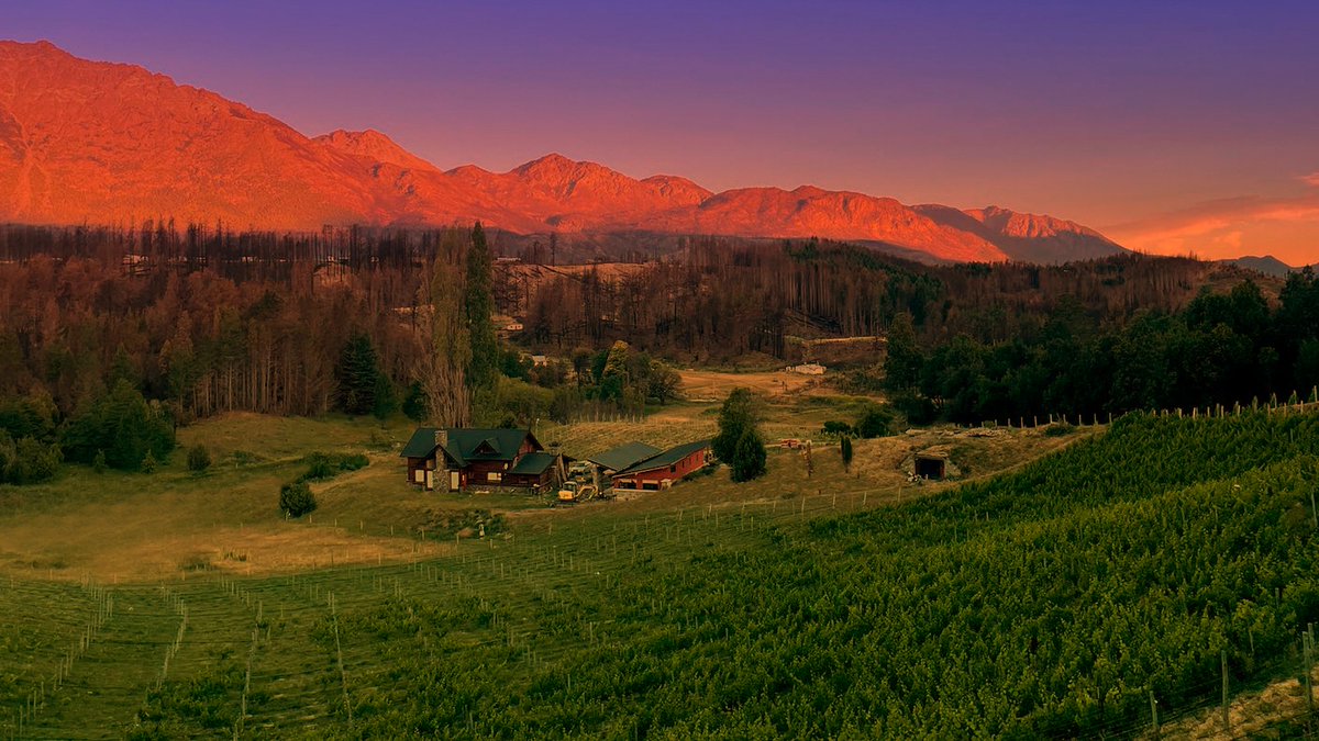MinTuryAP's tweet photo. Turismo: El Gobierno de la Provincia presenta el programa “Vinos y Sabores de Chubut” 🍷

Más info. en https://t.co/k05xyiU6QD https://t.co/e9y9y6cmMJ