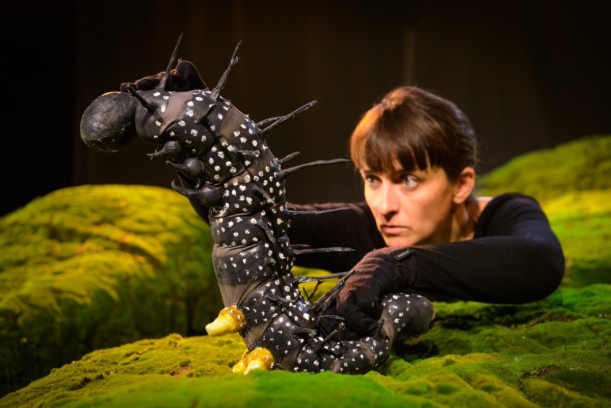 Rencontre l Rendez-vous le samedi 9 décembre, après la représentation du spectacle Nuisibles de la Compagnie Alula, pour une rencontre avec l'écologiste Philippe Grandcolas <a href="/pgISYEB/">Philippe Grandcolas</a> 

Un partage des méthodes et des enjeux actuels de la perte massive de biodiversité.