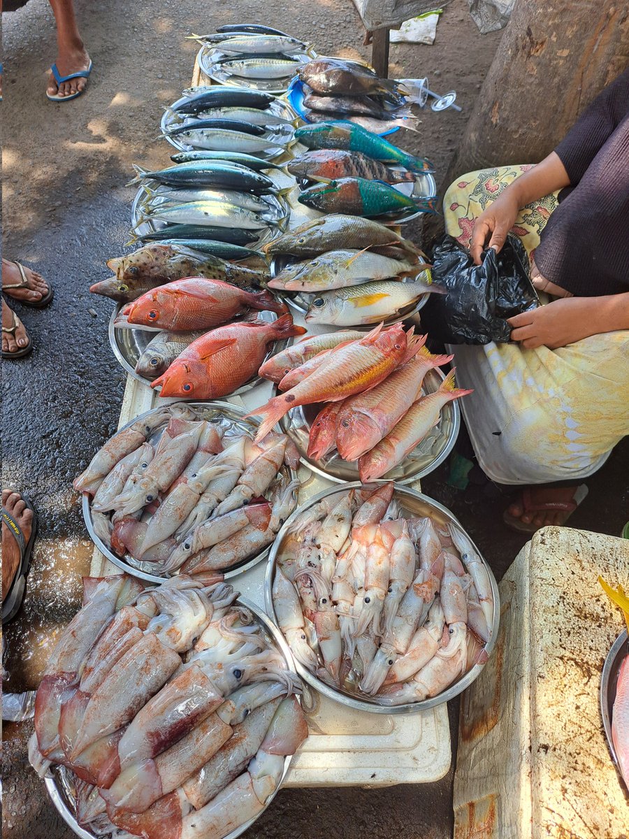 YohMariaVianei's tweet photo. Kamis (16/11), Yoh Maria  Vianei Keni Bolen, Luhkan Flores Timur, di Pemasar Ikan An. Salma Ismail, asal Desa Waiburak, Kec. Adonara Timur, mendata produksi cumi_cumi, layang dan ikan dasar, sebanyak 65 kg, harga Rp. 15.000-35.000/Kg
#GiatLuhkanSatminkalGondol 
#Flotim #produksi https://t.co/aLW5yHwiex