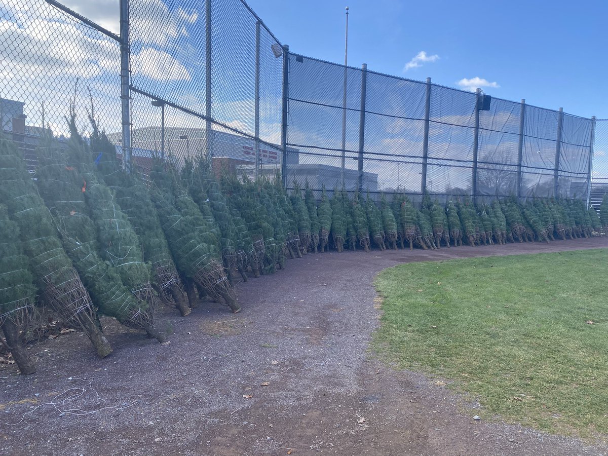 RoverBaseball's tweet photo. t’s the season to be jolly. The @RoverBaseball Christmas Tree Sales are open for business. Open until our stock is gone. Douglas and Fraser Fir on the lot now. Come out and see us. https://t.co/5rKLoN0Ah7