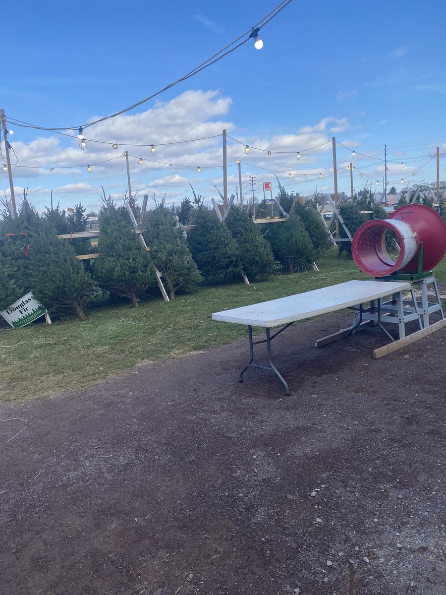 RoverBaseball's tweet photo. t’s the season to be jolly. The @RoverBaseball Christmas Tree Sales are open for business. Open until our stock is gone. Douglas and Fraser Fir on the lot now. Come out and see us. https://t.co/5rKLoN0Ah7