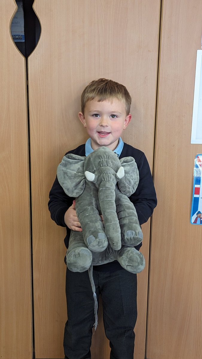 MrsBrowster's tweet photo. Class 1 dojo champion and host to Egbert Elephant this week is this amazing boy! He may be a giddy kipper at times but he always tries his best and puts his hand up to answer questions on the carpet. Well done! @WakefieldMetSch https://t.co/9dy7d35aKg