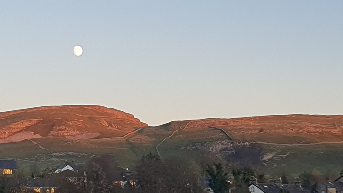 Neil Wharton tweet media