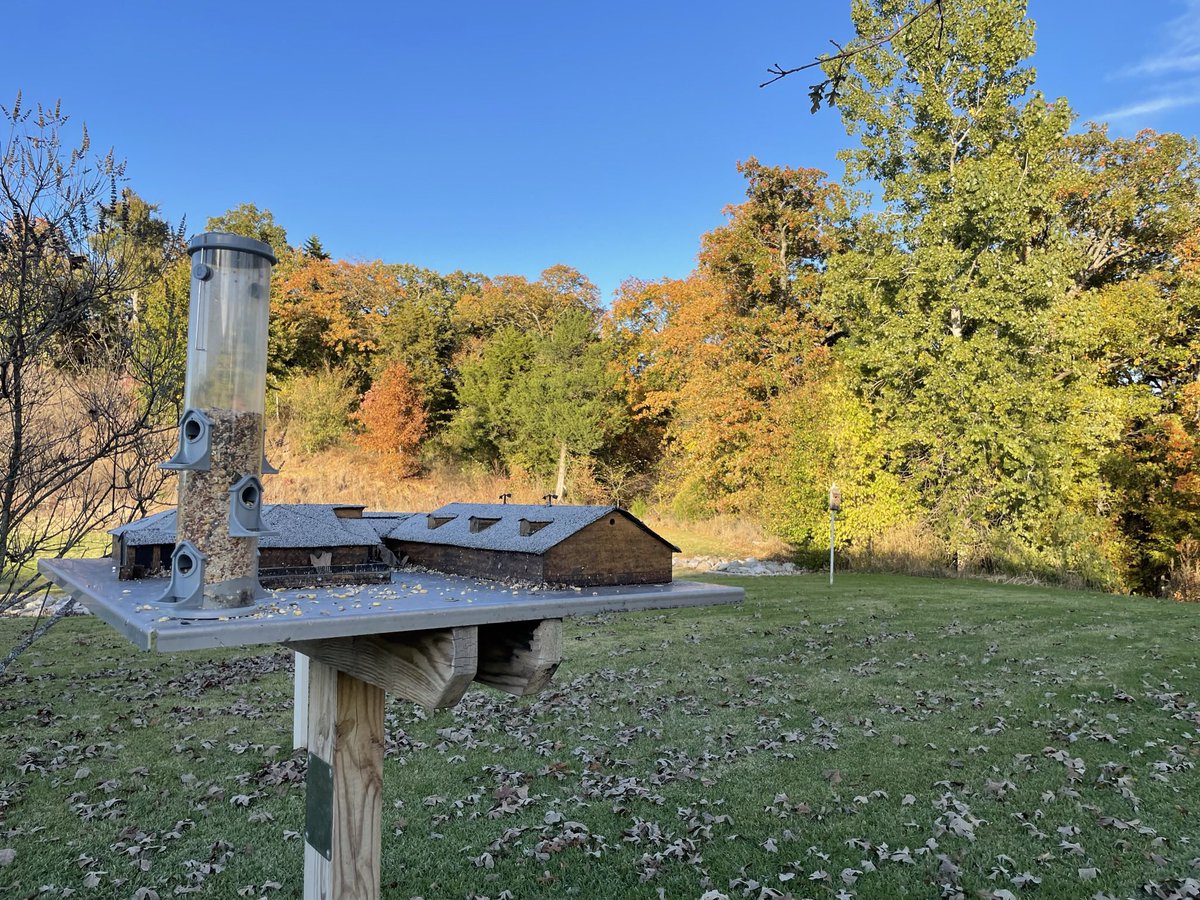 Angela Pedigo tweet media