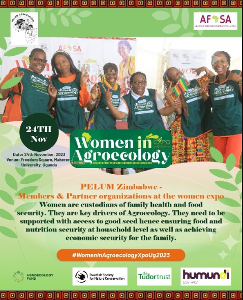 Yvezimofficial's tweet photo. We were so privileged to attend the African Women (AWOLA) Leaders in Agroecology Expo held in Uganda and our director @mellz_11 was one of the panelists where she talked of agroecology as a key piece to climate Adaptation and mitigation.
@ClimateZimDept
@gp_zim
@ActionAidZim https://t.co/ZVVn39DcEv