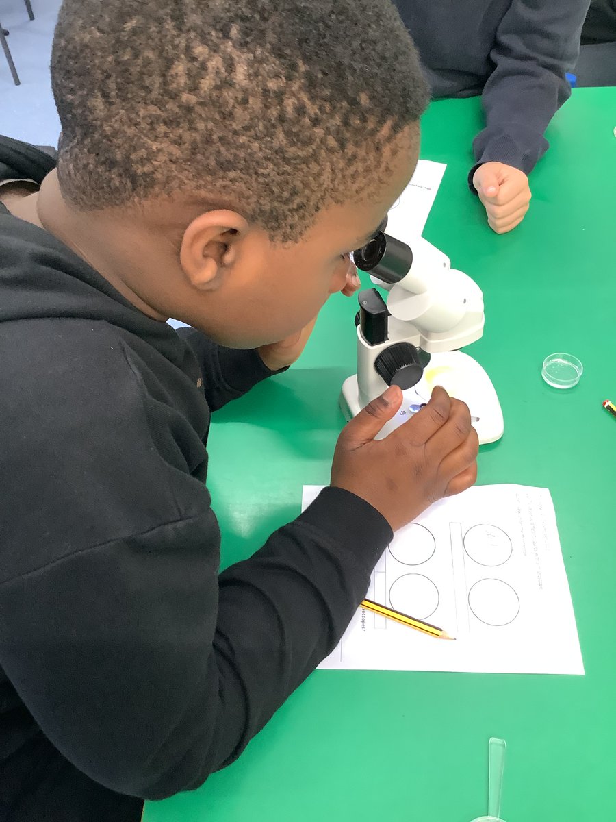 Our microscope lesson this week in Year 5 was a huge hit! Thank you <a href="/Mr_Hart9/">Mr Hart</a> for organising. We were amazed!