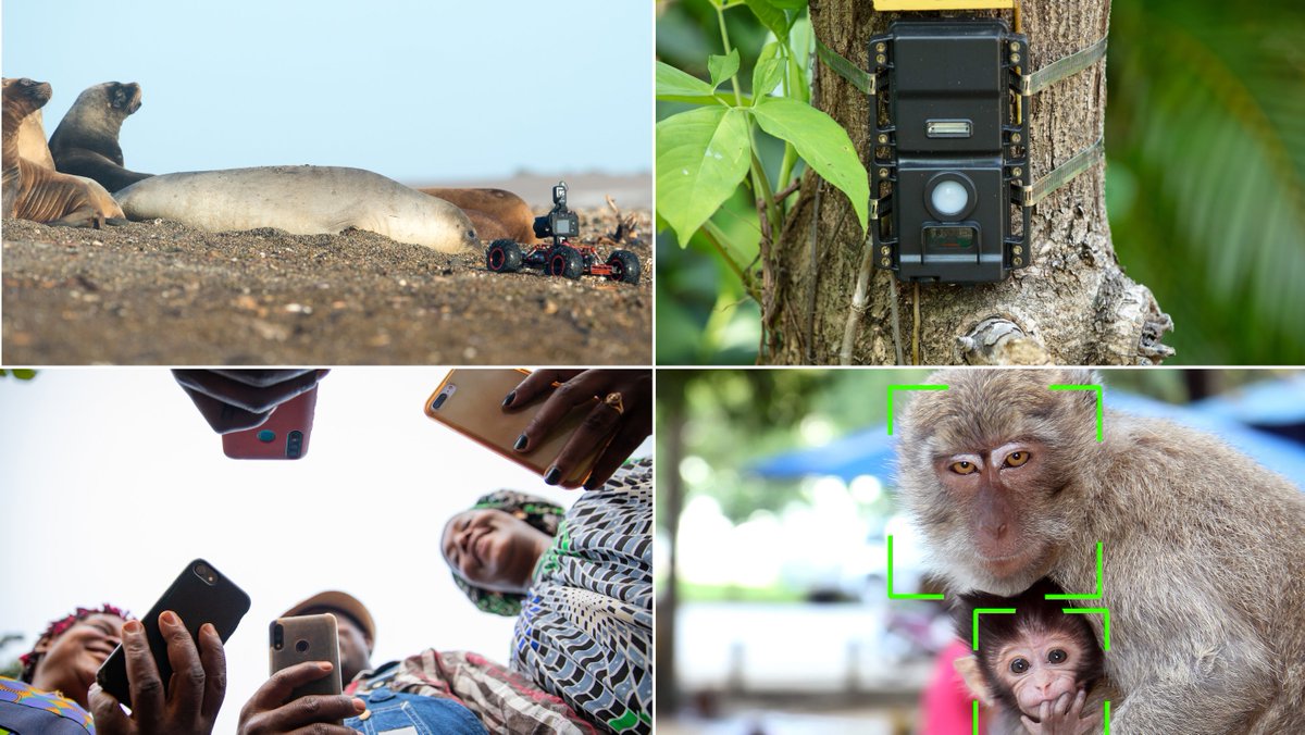 🐠🌵100 Days until #WorldWildlifeDay 2024! 🌸🐘 Join us in celebrating wildlife under the #WWD2024 theme: 'Connecting People and Planet: Exploring Digital Innovation in Wildlife Conservation' 💻💡 Learn more➡️cites.org/eng/node/138561