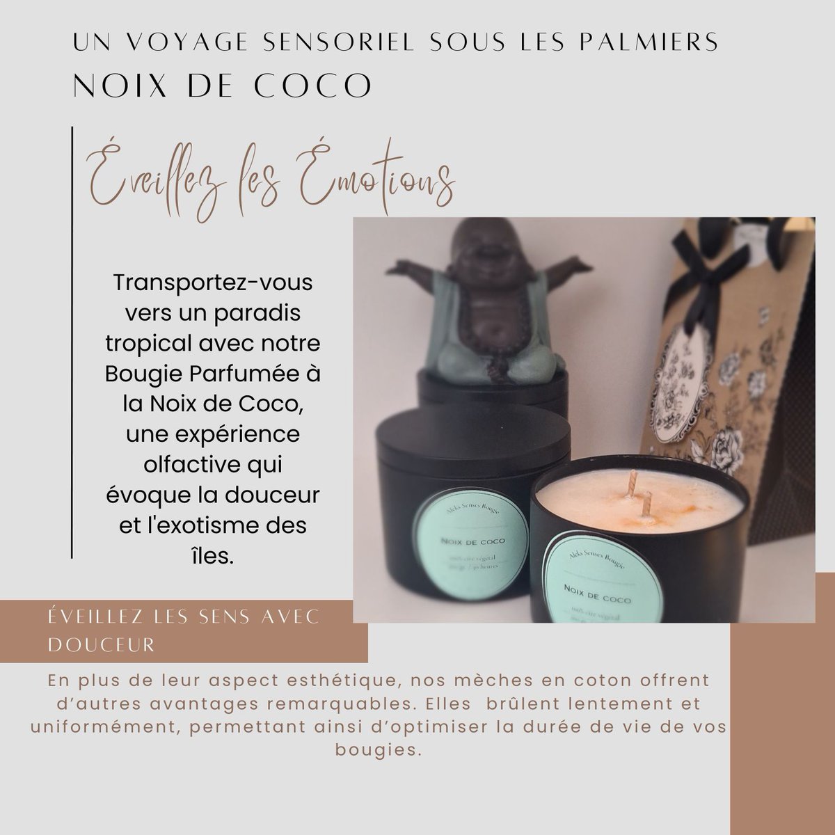 alekssenses's tweet image. Transformez votre espace avec l'arôme enchanteur des bougies parfumées à la noix de coco. 🌴✨ 
🔗 Liens dans ma bio 🕯 

🕯️ #BougiesNoixDeCoco #ParfumDIntérieur  #bougies #bougieaddict #bougiefleurie #bougiegourmande #bougienaturelle #bougieartisanale #bougiemariage #bougie