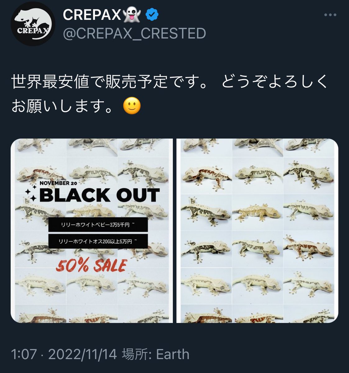 チャムクレスの話はなるほどなーって読んでたけど、あれ書いてる人は去年爆安でリリーホワイトを大量に日本で売って価格崩壊させた人なんよな
さすがにズルいよ