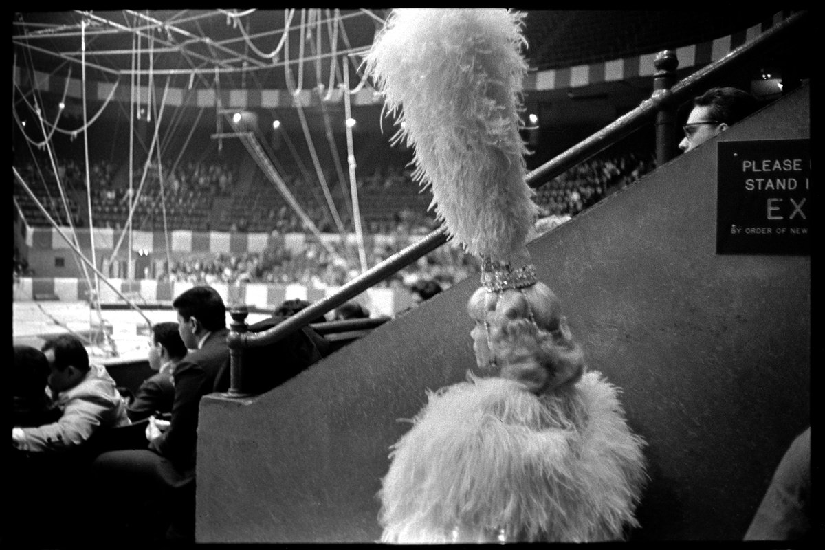 Sequels #191
Circus high wire acrobat, NYC, 1964