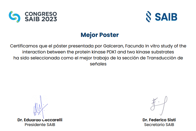 biondi_lab's tweet photo. Great meeting organized by @SAIB_Argentina! @maca_AMcc and @facugalce assisted with Dr. Biondi and presented posters on our latest work. And congratulations to Facundo and @lissy_gross for being selected as the best poster of the #SignalTransduction area! 👏 https://t.co/b3hWp7JNit
