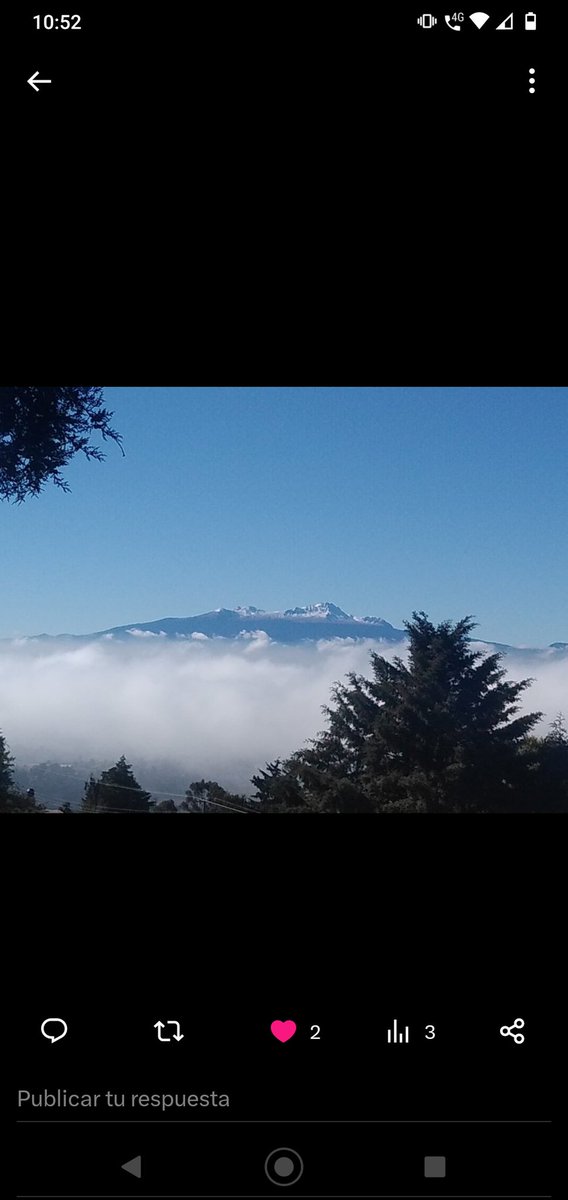 Juana Serrano (@juanaserra31122) on Twitter photo 