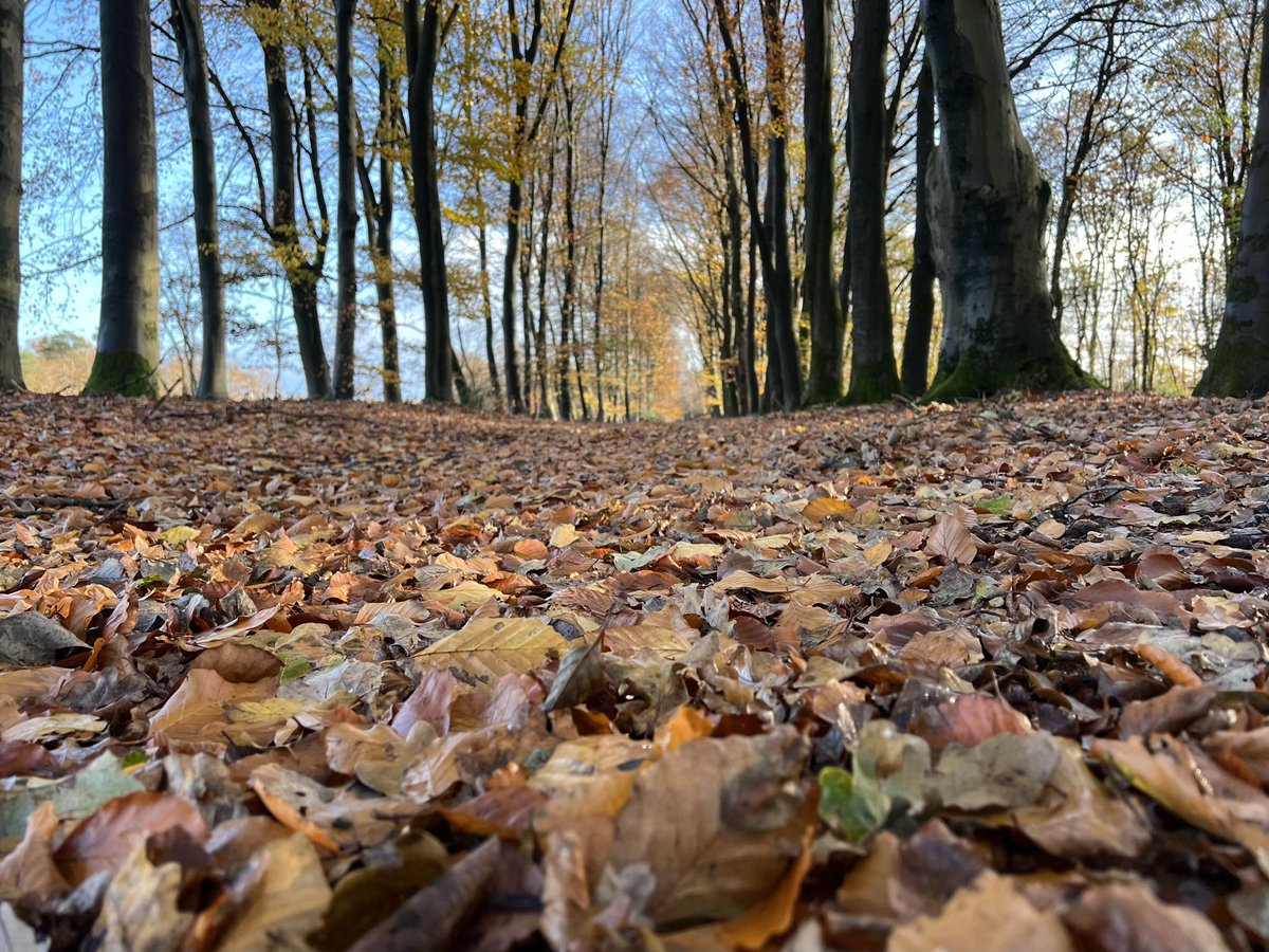 Fantastisch begin van het weekend! Tussen de dikke regendruppels, nou ja gewoon gigantische buien, door ook heerlijk in het zonnetje gelopen. 

#wandelen #twentepad #regen #buien #zon #genieten