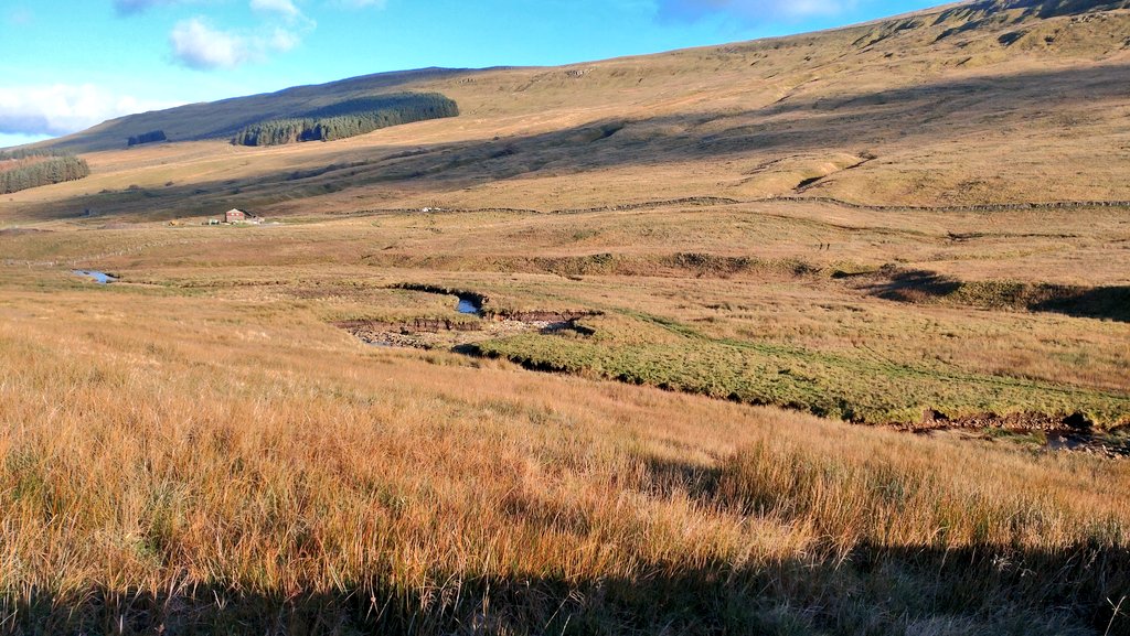 Jonathan Grey tweet media