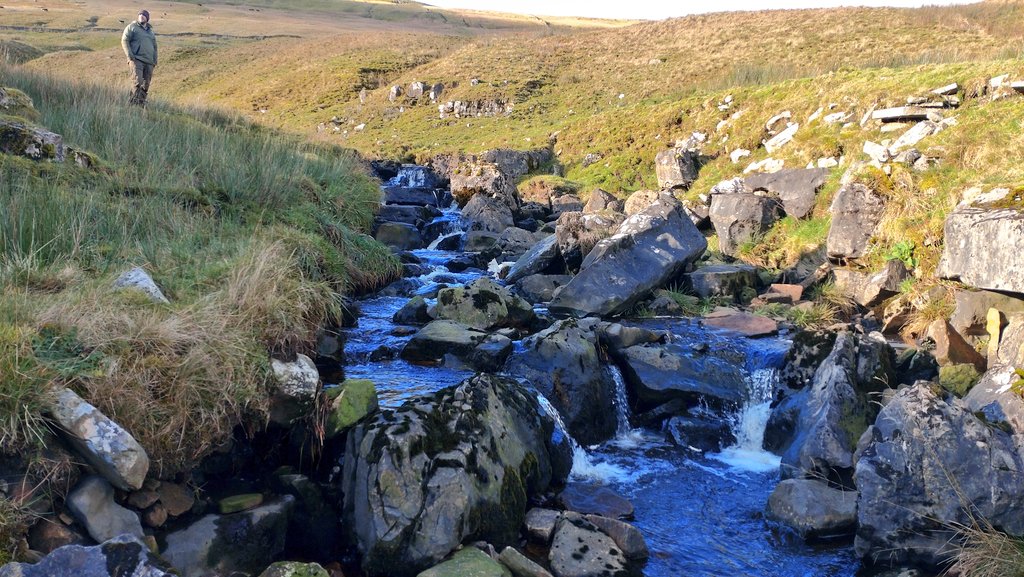 Jonathan Grey tweet media