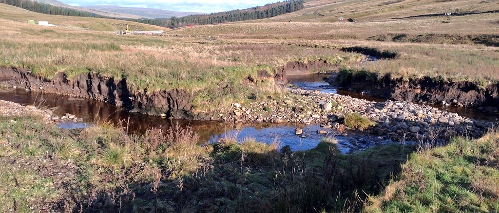 Jonathan Grey tweet media