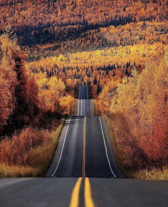 2 weeks autumn road trip through Alaska.