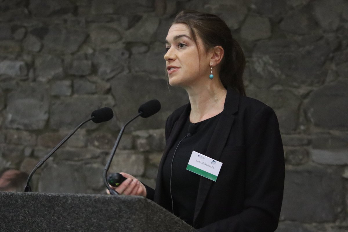 We are particularly excited that the next speaker to address the IACBA Conference 2023 is a lawyer who in fact acted in a key decision discussed already today - MK (Albania). Aoife McMahon BL's presentation considers the free movement of persons and fundamental rights