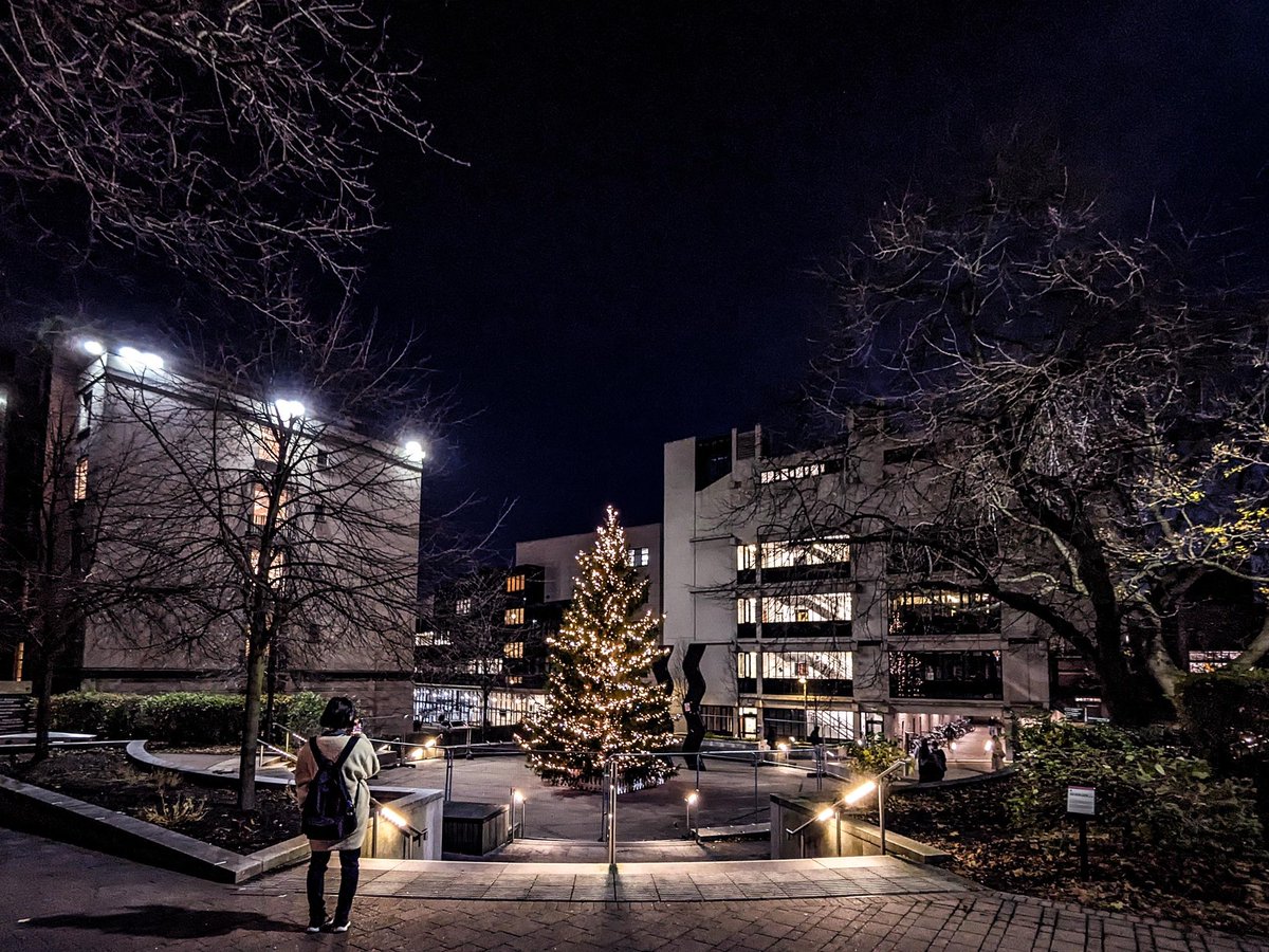 O Christmas Tree, O Christmas Tree,  
How lovely are thy branches!  
 
It might be November, but we’re putting up the decorations in Beech Grove Plaza🎄  
 
Our famous 35ft Christmas Tree has returned, and it is certainly a lovely sight. Have a look for yourself while on campus✨