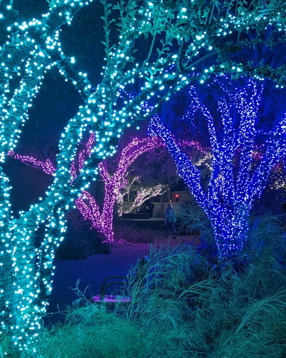 Tucson Botanical tweet media