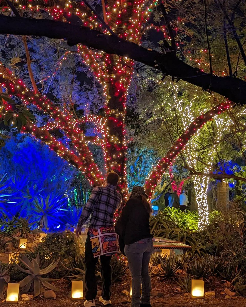 LightsUp! A Festival of Illumination opens today!
Get your tickets here tucsonbotanical.org/lightsup/ 
Come experience Southern Arizona's newest holiday tradition and be dazzled by over 1 million lights, luminaria displays, and handmade light installations.