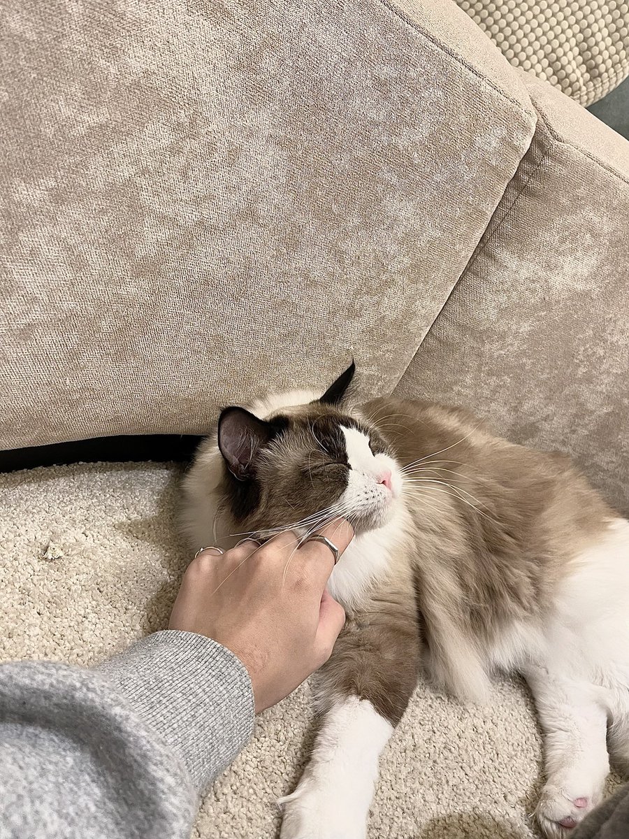 TzzKai's tweet photo. Enzo https://t.co/bHAjvhEtT4