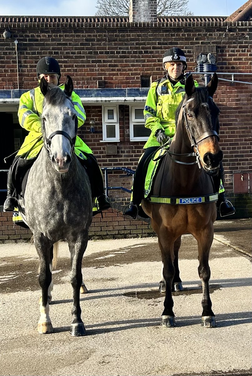 MerPolMounted's tweet image. Today we have had 6 horses patrolling across Merseyside.
Albie &amp;amp; Jake patrolled Sefton Park and Mossley Hill, Carter &amp;amp; Silver headed over to The Croft Retail Park in Bromborough and Owen &amp;amp; Arnie patrolled Liverpool City Centre.
#StandTall #PHAlbie #PHJake #PHSilver #PHCarter