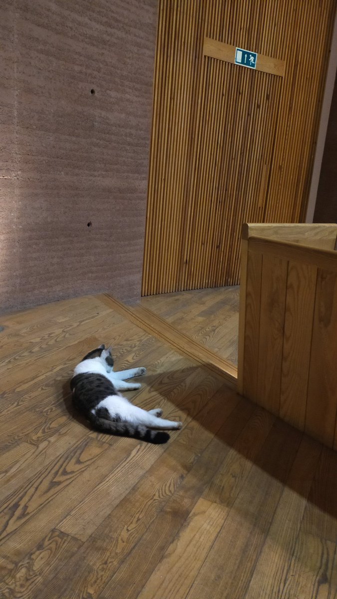 amygresham48's tweet photo. A cat enjoying an introductory talk to CAT π± it's good to be back #WEEN2023 @centre_alt_tech https://t.co/nget9fQDkX