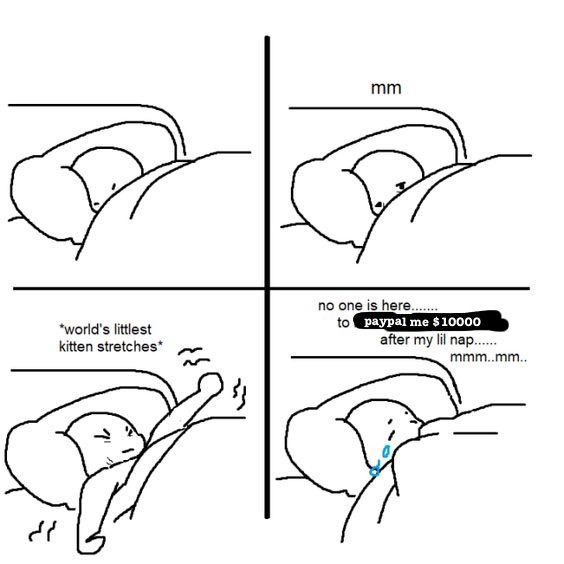 alixbugbug 🪲🧡 (@alixbugbug) on Twitter photo 