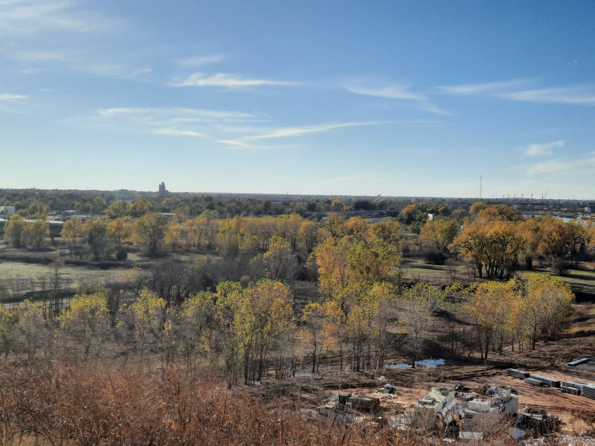 Timothy Martin tweet media