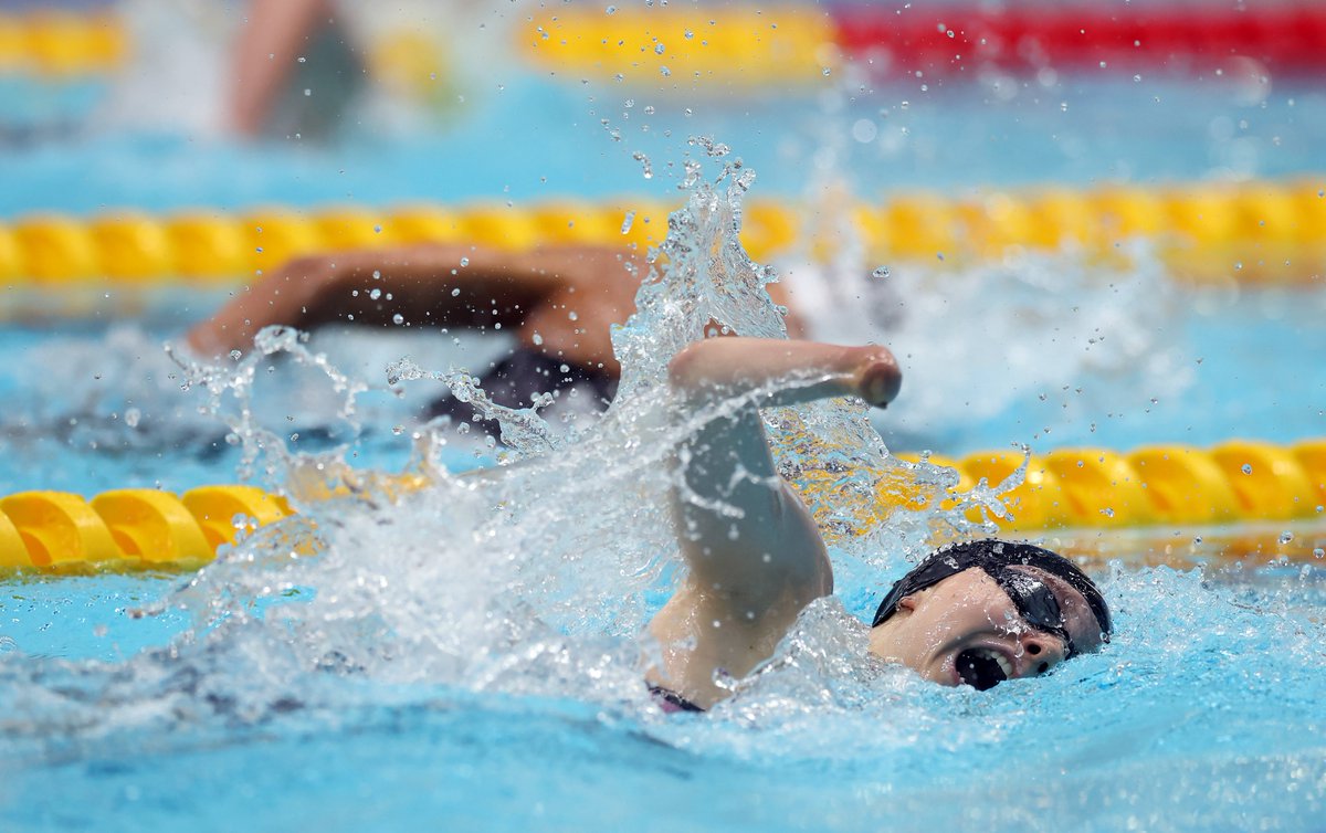 Scottish Swimming tweet media