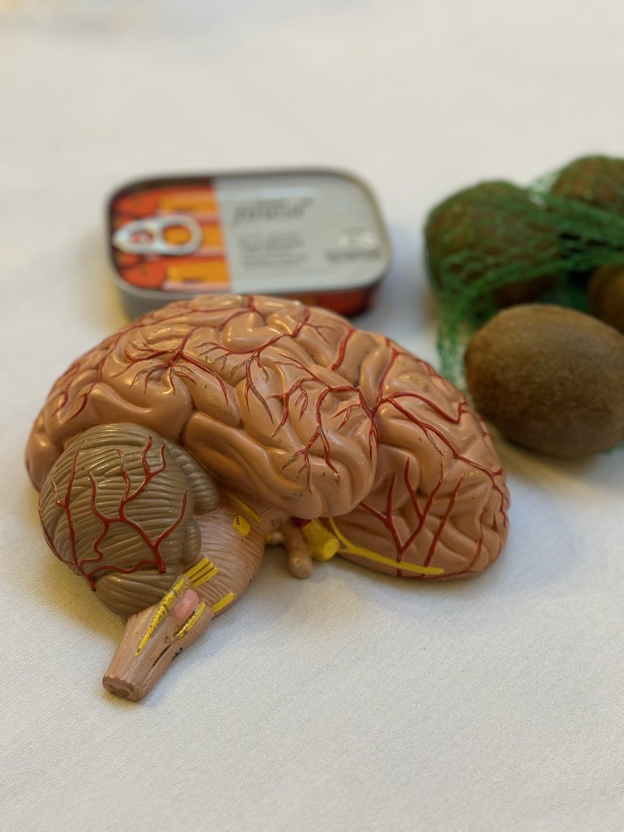 A great end to the week - CEX’s &amp; senior leaders in partnership with <a href="/NWEmployers/">North West Employers</a>,  <a href="/Solace_UK/">Solace</a> and <a href="/LGAcomms/">Local Government Association (LGA)</a>. Can you guess what the theme for the afternoon was from the pic? Thanks <a href="/JJNutrition/">Jeannette Jackson</a> for literally giving us food for thought 🧠 and <a href="/BpoolCouncil/">Blackpool Council</a> for hosting 🤩