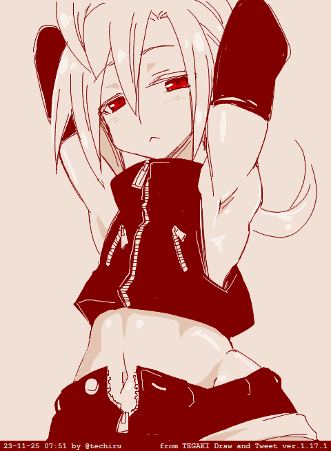 クラシックスタイル 