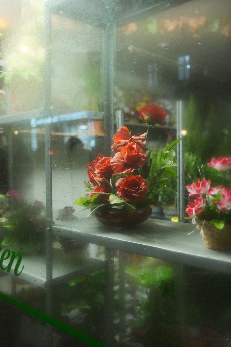 0xVisualiris's tweet image. This is a flower for all of you. Have a nice weekend fam!🌷❤️
@flowers4society