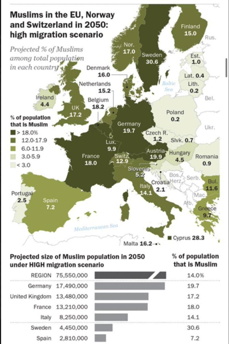 Europa se volvió islámica.
Lo de Suecia es asombroso: De cada 100 personas 30 serán musulmanas.