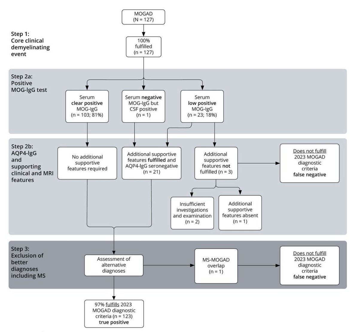 TheMOGProject's tweet photo. Important work by @antibodypad & team on the ‘Timing of MOG-IgG Testing Is Key to 2023 #MOGAD Diagnostic Criteria’ - 

Link: 👉🏻 https://t.co/0vVTpm8h6m

Timing of testing is critical at disease onset. “A MOGAD diagnosis may be missed in patients who were not tested at presentation. This will be inevitable in patients presenting before the development and refinement of the MOG-IgG assay but will likely continue in smaller numbers going forward if patients do not receive timely serologic evaluation.”
