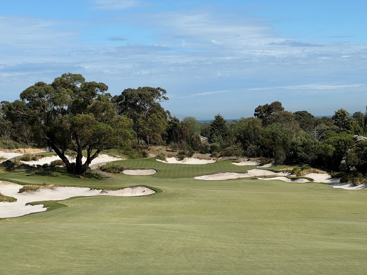 Contours Golf tweet media