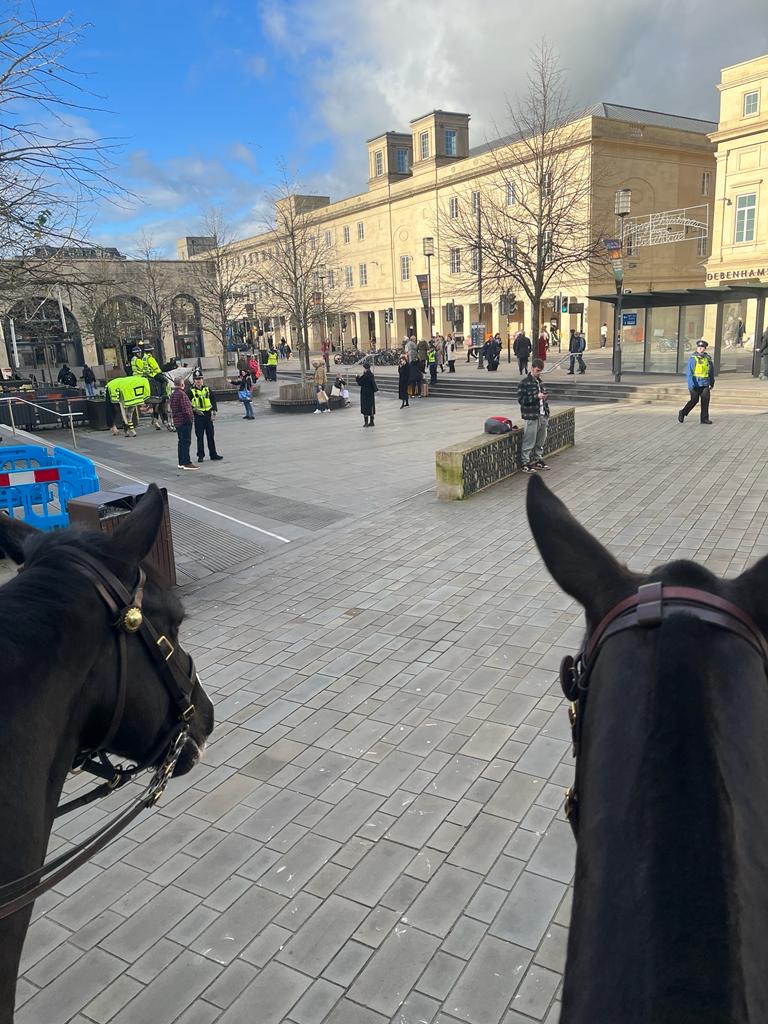 ASPoliceHorses's tweet image. And Trinity, Platinum, Pilton and Blaise were in Bath city centre assisting their @ASPBathNES colleagues with #ProjectServator deployment 🐴🐴🐴🦄 #busyday #extracarrotsfortea #goodboys