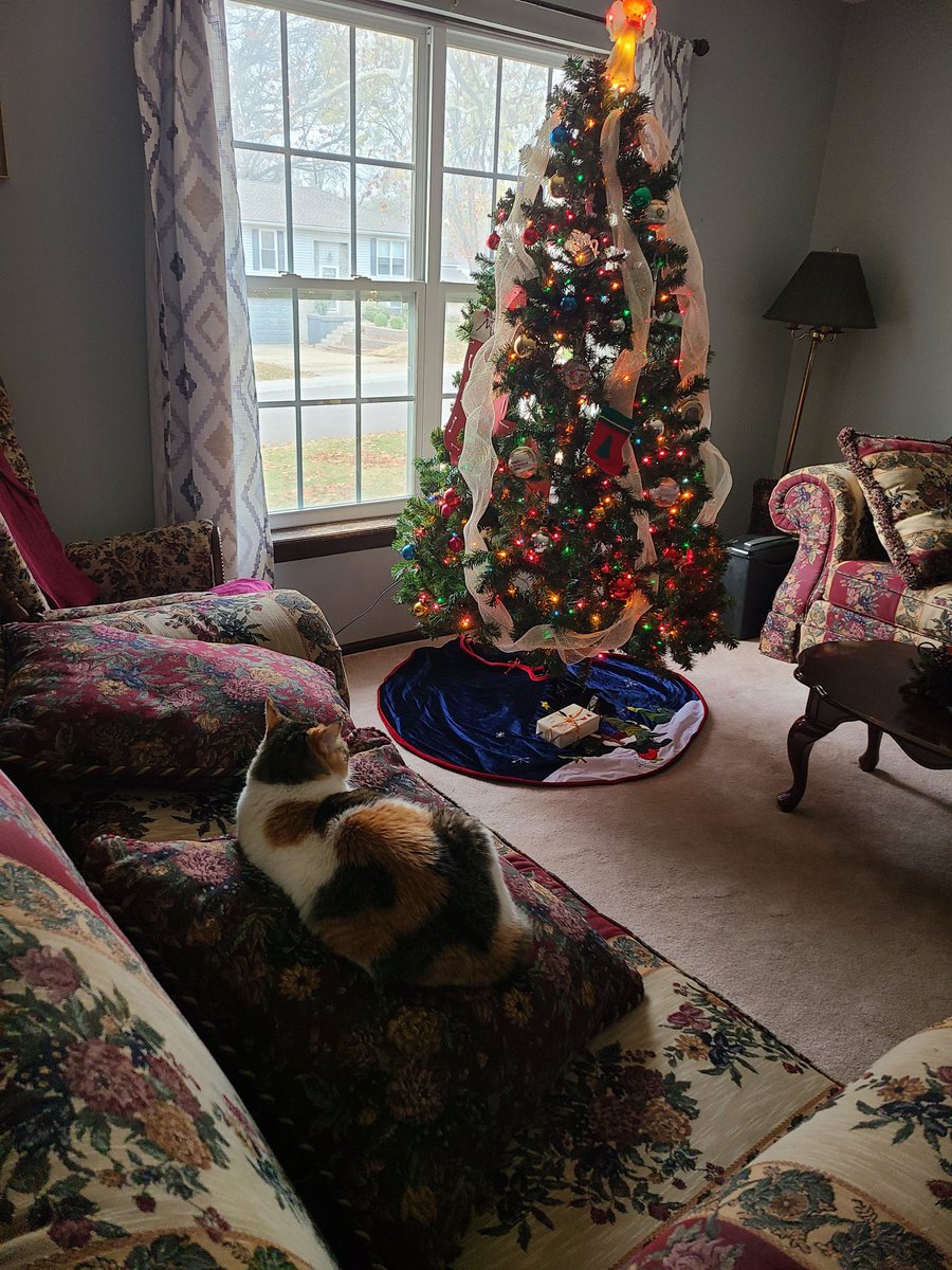 RoguesHouse's tweet photo. It's that time of year again! It's Roguemas! https://t.co/q5aLhklNHr