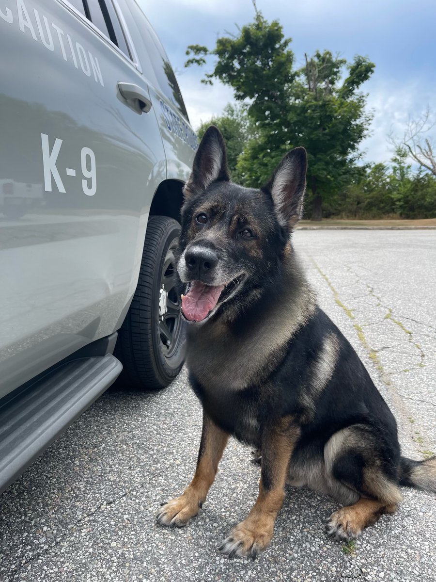 RIStatePolice's tweet photo. We are saddened to announce the passing of Rhode Island State Police K9 Sam. K9 Sam was a patrol and explosives detection German Shepherd handled by Trooper Maddox for his 10-year career. We thank K9 Sam for his service and keep Trooper Maddox in our thoughts. #AlwaysThere https://t.co/QiLjD7Ma2V