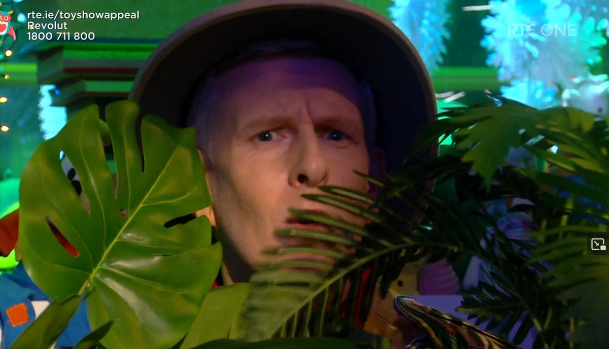 SamBrooks05's tweet photo. Surprise new entrant to the jungle #LateLateToyShow #ImACeleb https://t.co/XffcfOYHVS