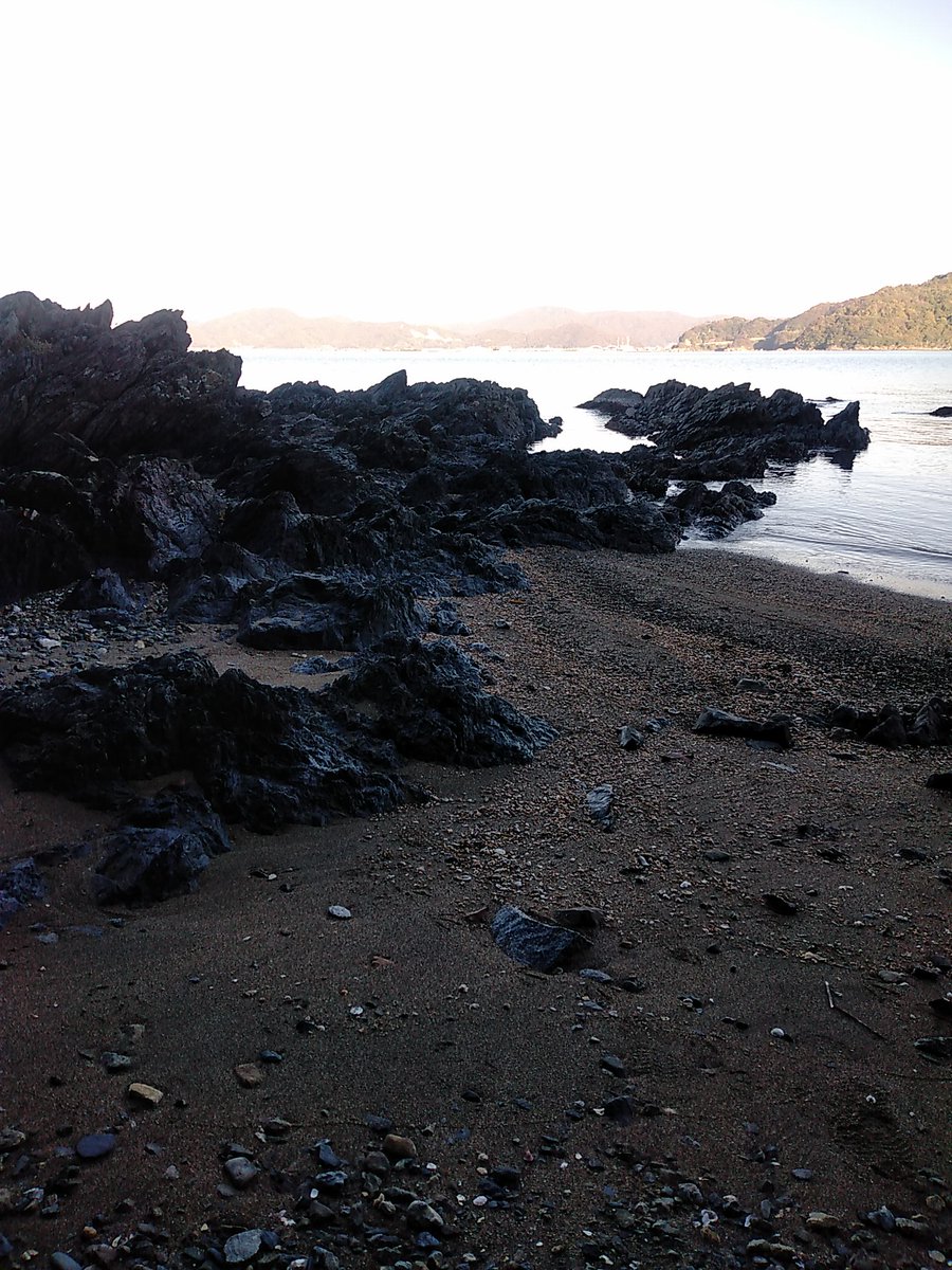 おはようございます