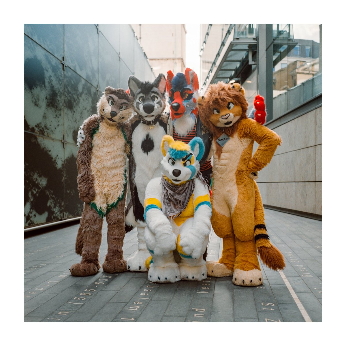 Fluffy boissssss

#FursuitFriday 
📷 <a href="/RabbetFace/">Some Dumb Bun 𓃹</a>