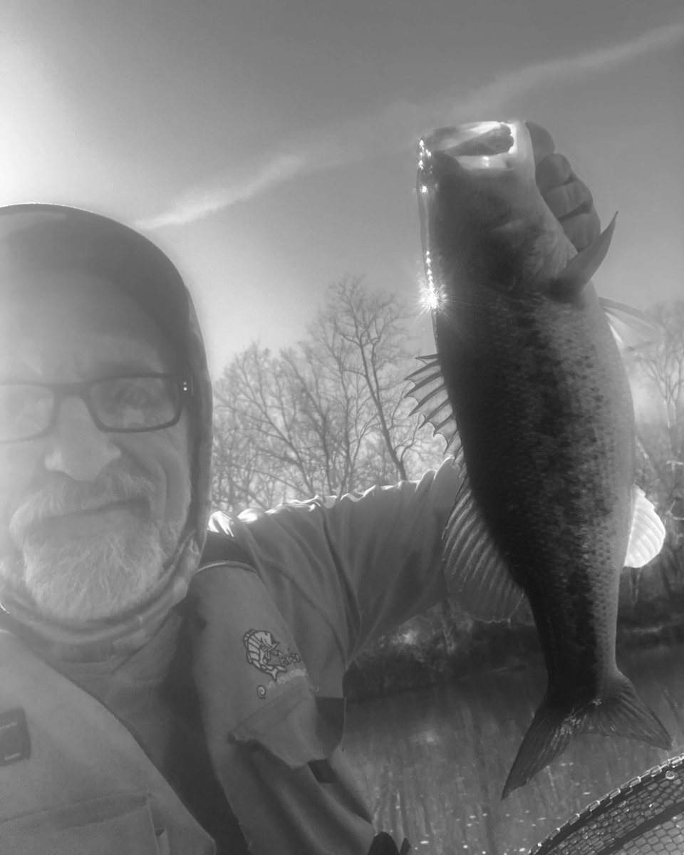 miacalva's tweet image. Winter river season is here! 

My #Yakrods Bass of the Day was this 16.75” river melon. Caught 9 as I dialed in the jerk bait bite. They were eating with falling water levels after a good rain. Love this time of year!

#JacksonKayak #JacksonBite #ShopGetOutdoors #KetchTeam