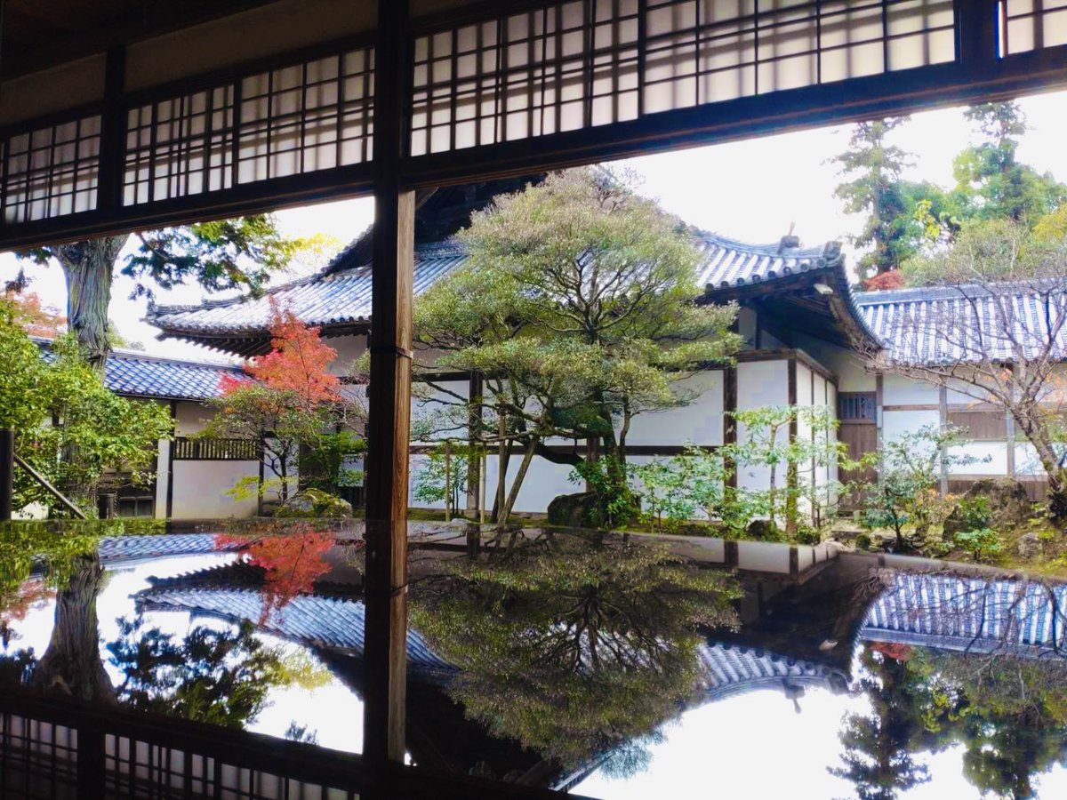 jojuji810's tweet photo. ようやく紅みを帯びてきました。自然ありのままの境内、ゆっくりお楽しみください。
特別公開は12月3日(日)まで。 https://t.co/XFOnTrc6sL