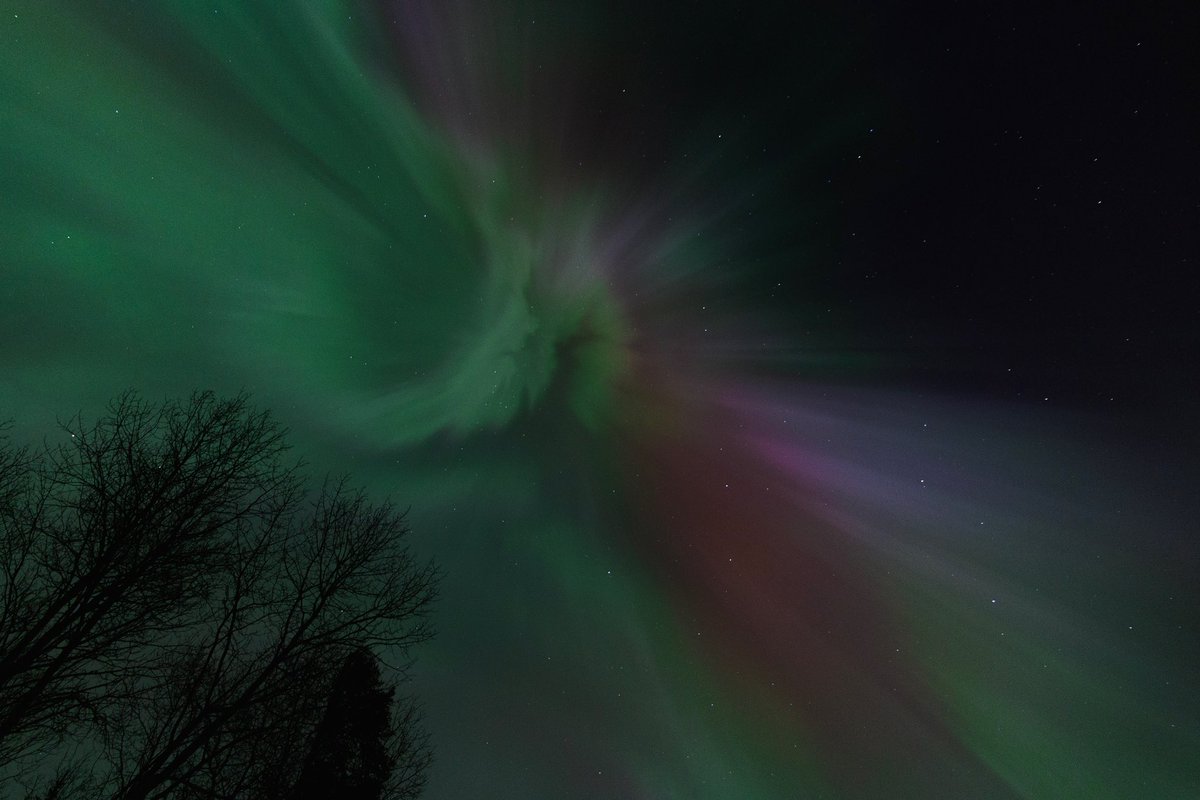 Bri 🖤 tweet media