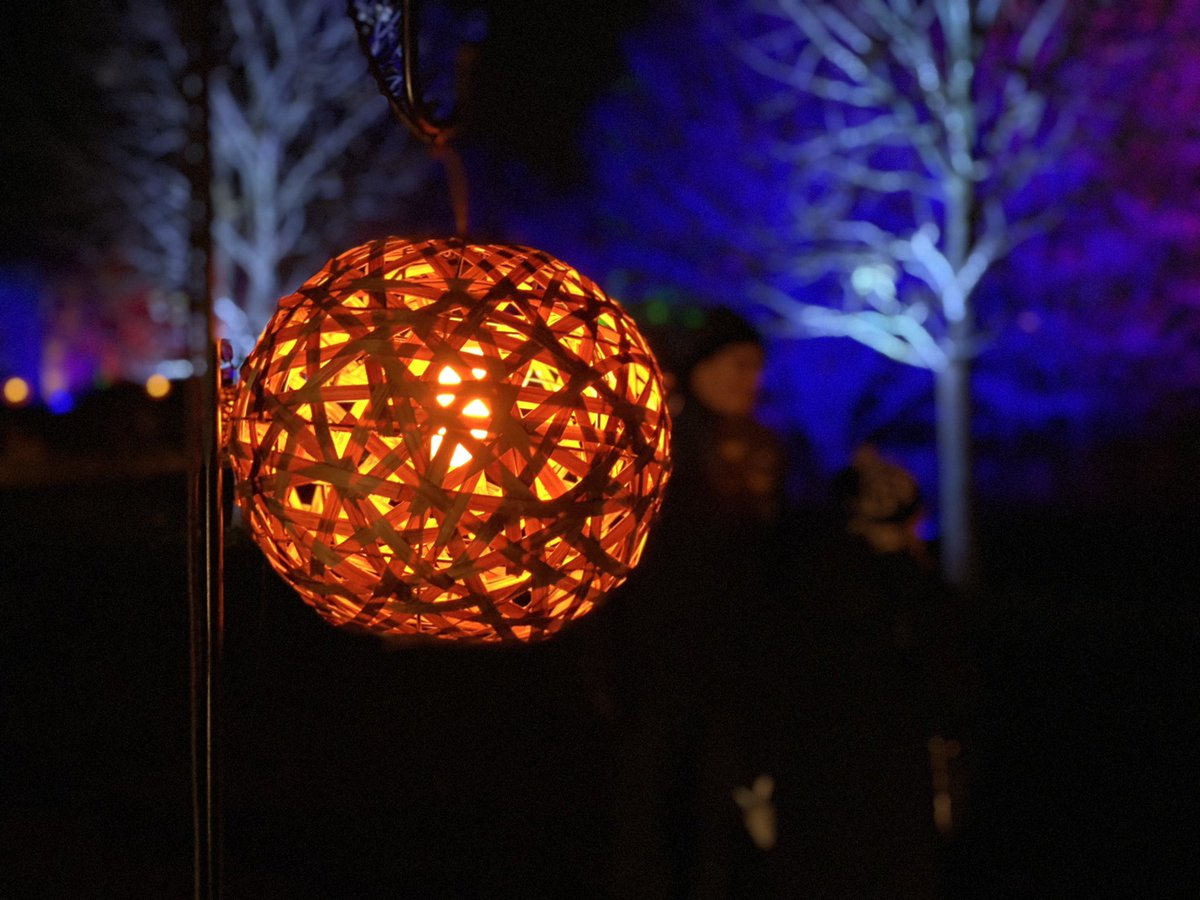 Dave Lodge tweet media